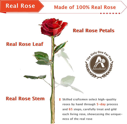 24K Gold Rose in Dipped,24K Gold Real Rose Gift for Her, Long Stem Rose Made from Real Gold Rose for Anniversary Valentines Mothers Day Birthday (Deep Blue with Crystal Vase)